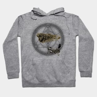 Awesome flying skulls with crow Hoodie